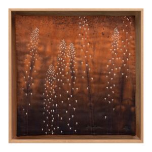 Wild Garden: Pinedrops