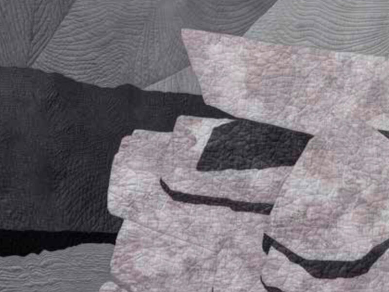 Dr. Uta Lenk interviewed Ann for Patchwork Gilde Deutschland