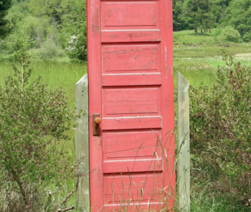 Answers: Dyeing with Procions