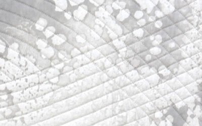 “Wave 20-Seafoam” chosen for NWDC Gallery at the Park